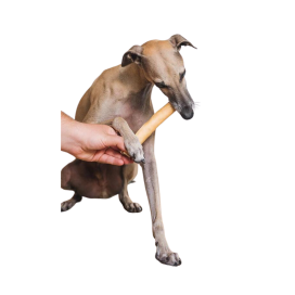 Snack Mordedor Piel de Caballo Perro (ud) Mordedores para Perros Patitas&co