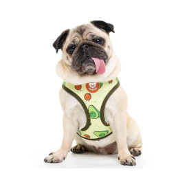 Dukier Arnes Reversible Avocado Para Perro Collar, Correa y Arnes Perro Patitas&co
